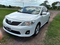 corolla (2).jpg