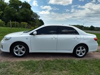 corolla (3).jpg