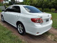 corolla (4).jpg