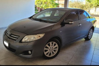 Corolla SE-G2010.jpg