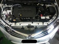 motor.jpg