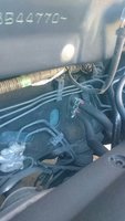 _20160606_093056.JPG