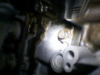 tapon1.jpg
