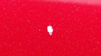 IMG_20161221_083902038.jpg